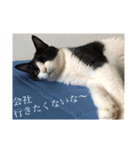 キクラゲと千代錦（個別スタンプ：21）
