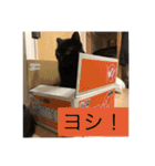 キクラゲと千代錦（個別スタンプ：23）