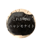 キクラゲと千代錦（個別スタンプ：24）