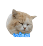 猫リミックス（個別スタンプ：4）
