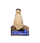 猫リミックス（個別スタンプ：14）