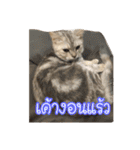 猫リミックス（個別スタンプ：15）