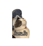 猫リミックス（個別スタンプ：22）
