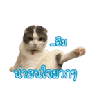 猫リミックス（個別スタンプ：23）