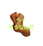 あんよスタンプ（個別スタンプ：13）