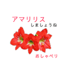 花言葉で日常会話（個別スタンプ：1）