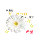 花言葉で日常会話（個別スタンプ：6）