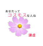 花言葉で日常会話（個別スタンプ：10）