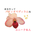 花言葉で日常会話（個別スタンプ：11）