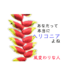 花言葉で日常会話（個別スタンプ：12）