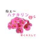 花言葉で日常会話（個別スタンプ：13）