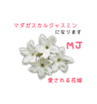 花言葉で日常会話（個別スタンプ：14）