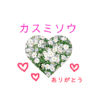 花言葉で日常会話（個別スタンプ：19）