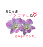 花言葉で日常会話（個別スタンプ：22）