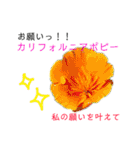 花言葉で日常会話（個別スタンプ：23）