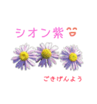花言葉で日常会話（個別スタンプ：26）
