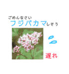 花言葉で日常会話（個別スタンプ：27）