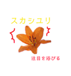 花言葉で日常会話（個別スタンプ：29）