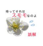花言葉で日常会話（個別スタンプ：30）