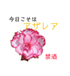 花言葉で日常会話（個別スタンプ：32）