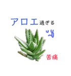 花言葉で日常会話（個別スタンプ：33）