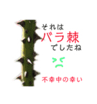 花言葉で日常会話（個別スタンプ：34）