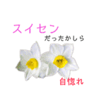 花言葉で日常会話（個別スタンプ：36）