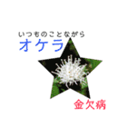 花言葉で日常会話（個別スタンプ：37）