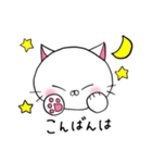 糸目にゃんこ(白)（個別スタンプ：27）
