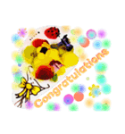大人向けスタンプ（個別スタンプ：1）