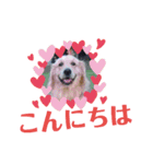 飯島家のふぅちゃん（個別スタンプ：11）