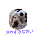飯島家のふぅちゃん（個別スタンプ：16）