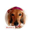 mtoh8rarara（個別スタンプ：2）