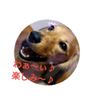 mtoh8rarara（個別スタンプ：5）