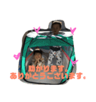 弦之介 _2（個別スタンプ：1）