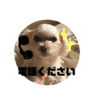 弦之介 _2（個別スタンプ：4）