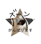 弦之介 _2（個別スタンプ：9）