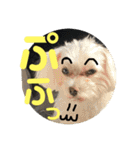 弦之介 _2（個別スタンプ：10）