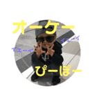 弦之介 _2（個別スタンプ：14）