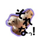 弦之介 _2（個別スタンプ：21）