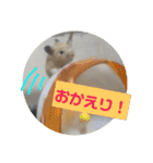 ハムスターのパズ君④（個別スタンプ：10）