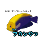 小型ヤッココレクション（個別スタンプ：6）