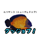 小型ヤッココレクション（個別スタンプ：7）