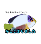 小型ヤッココレクション（個別スタンプ：8）