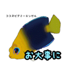 小型ヤッココレクション（個別スタンプ：11）