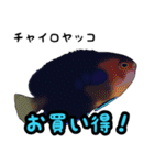 小型ヤッココレクション（個別スタンプ：12）