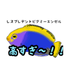 小型ヤッココレクション（個別スタンプ：13）