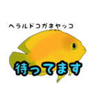 小型ヤッココレクション（個別スタンプ：18）