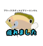 小型ヤッココレクション（個別スタンプ：24）