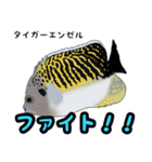小型ヤッココレクション（個別スタンプ：25）